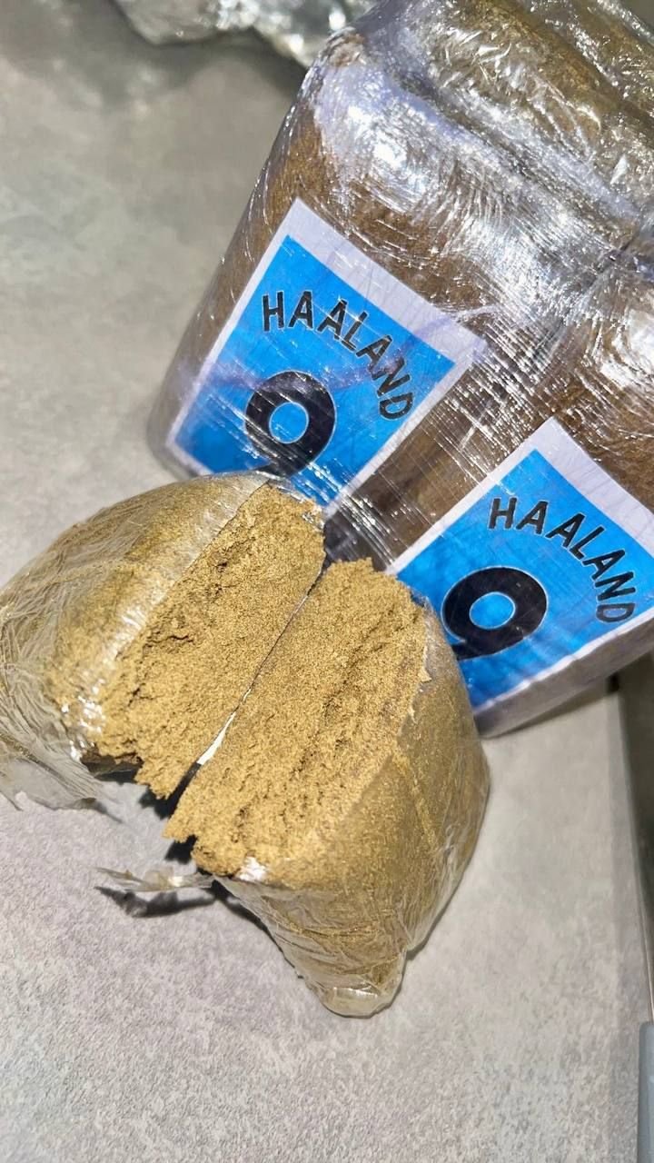 Haaland hashish bar